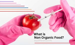 Non-Organic Food
