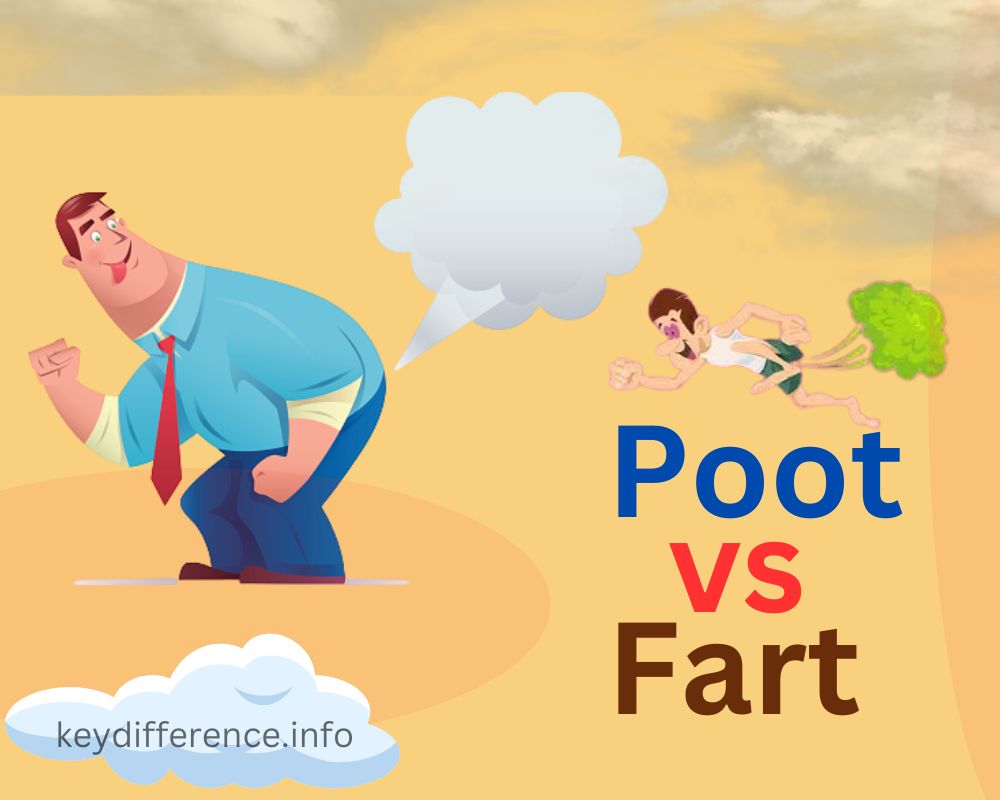 Poot and Fart
