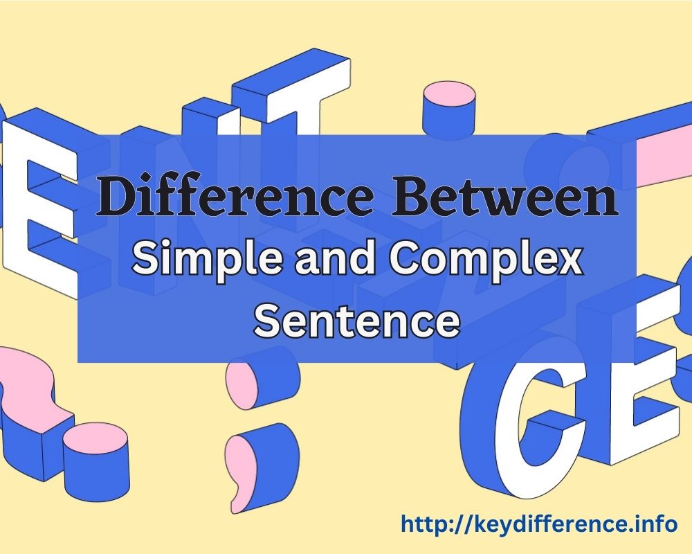 Simple and Complex Sentence