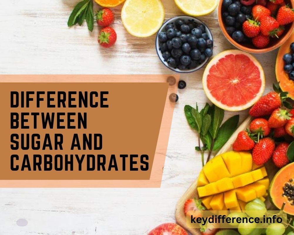 Sugar and Carbohydrates