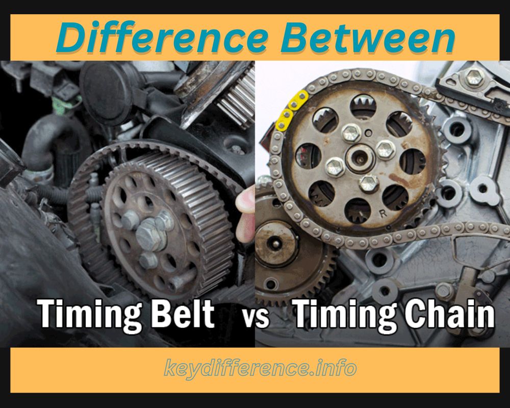 Timing Chain and Timing Belt