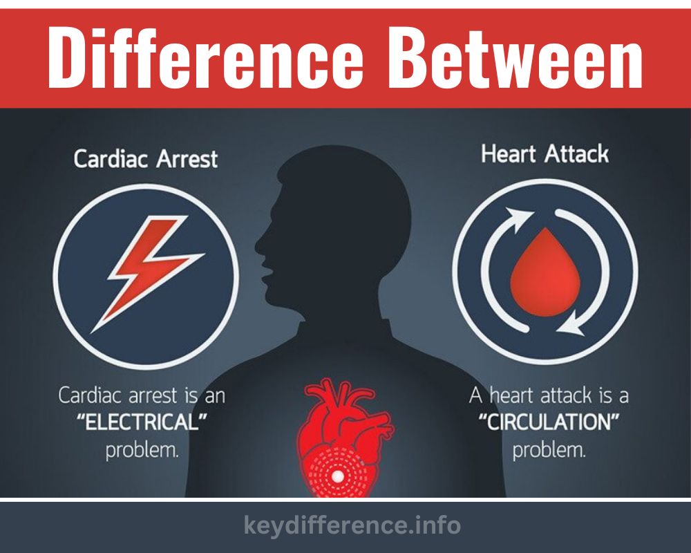 Cardiac Arrest and Heart Attack