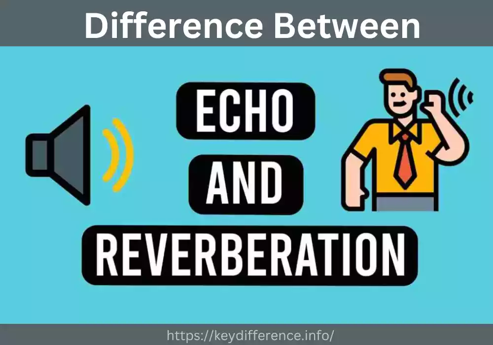 Reverberation and Echo