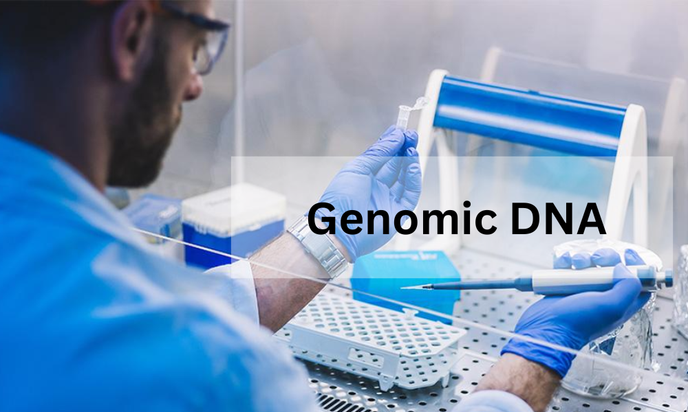 Genomic DNAs