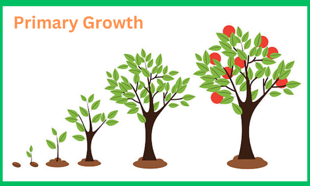Primary Growth