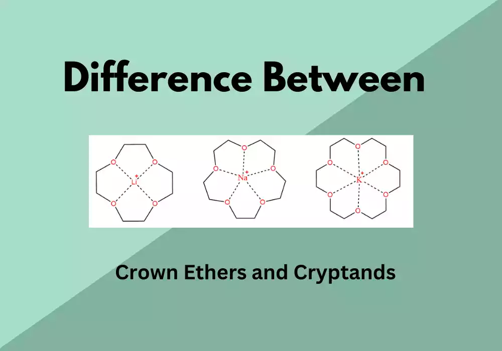Difference Between Crown Ethers and Cryptands