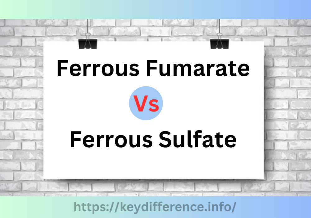 Ferrous Fumarate and Ferrous Sulfate