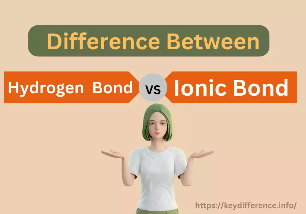 Hydrogen Bond and Ionic Bond