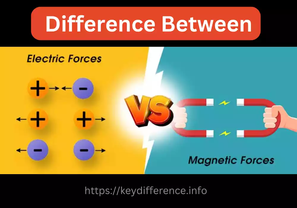 Magnetic Force and Electric Force