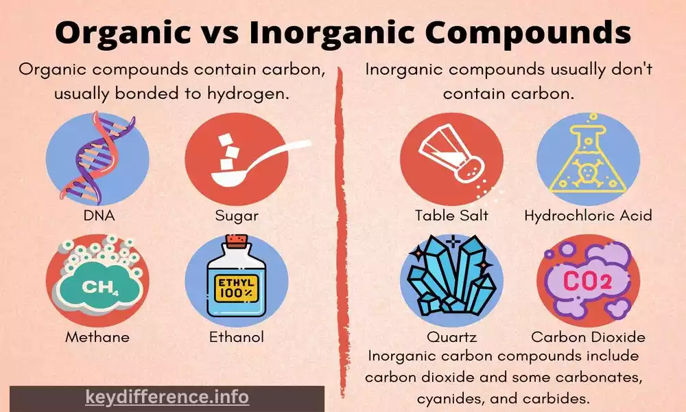Organic and Inorganic Molecules