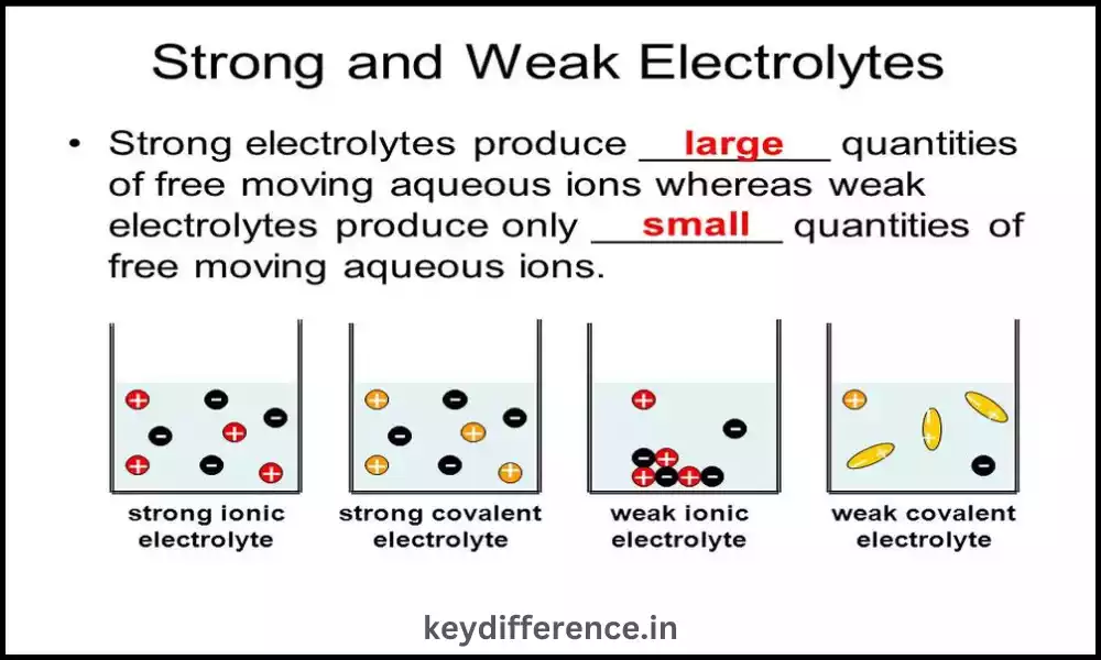 Strong and Weak Electrolytes