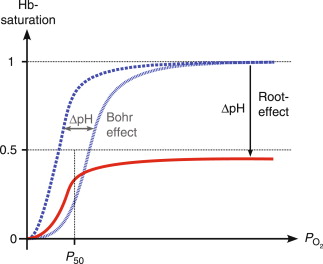 Root Effect