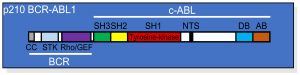 BCR-ABL p210