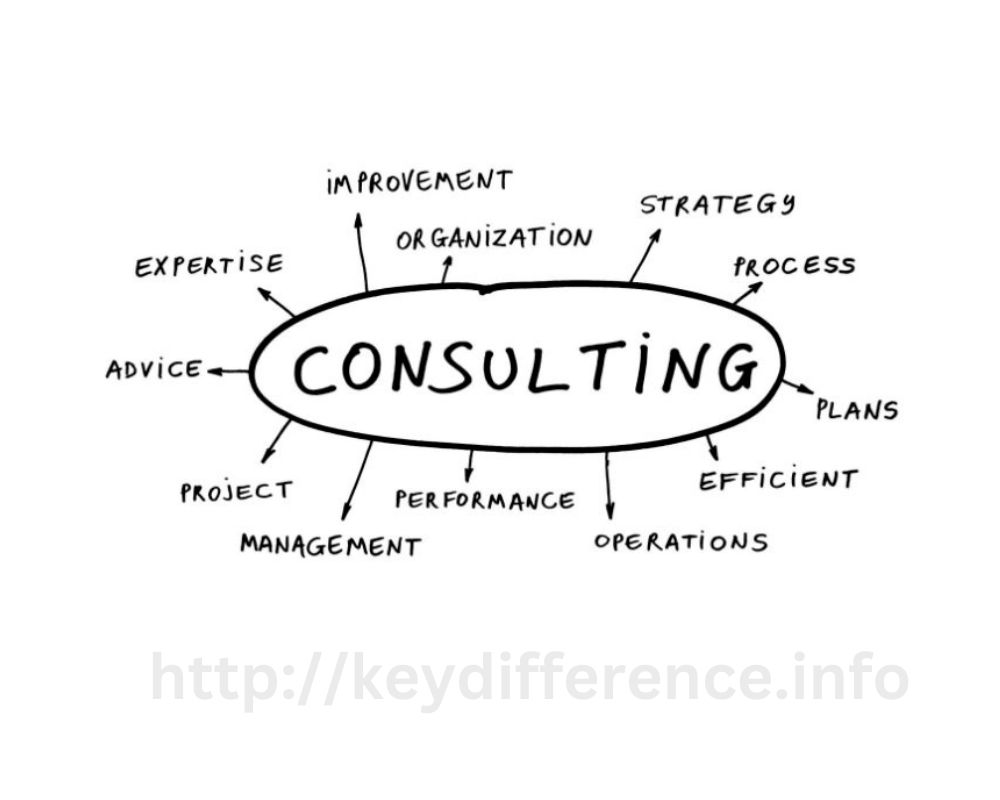 Business Consultant