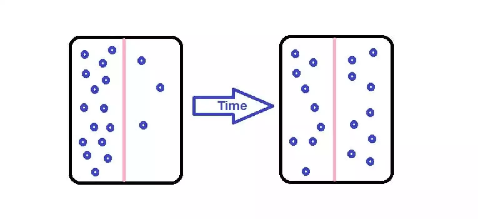 Diffusion