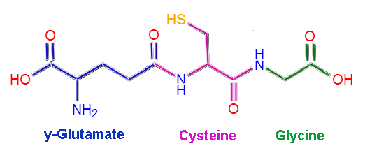 Glutathione