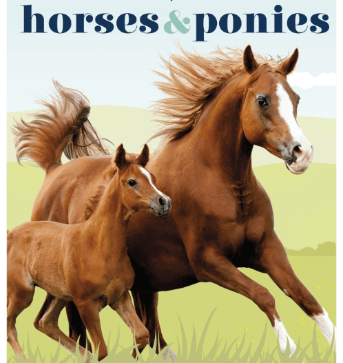 Horse and Pony