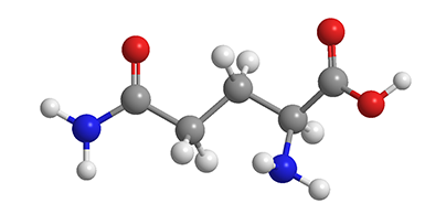 L Glutamine