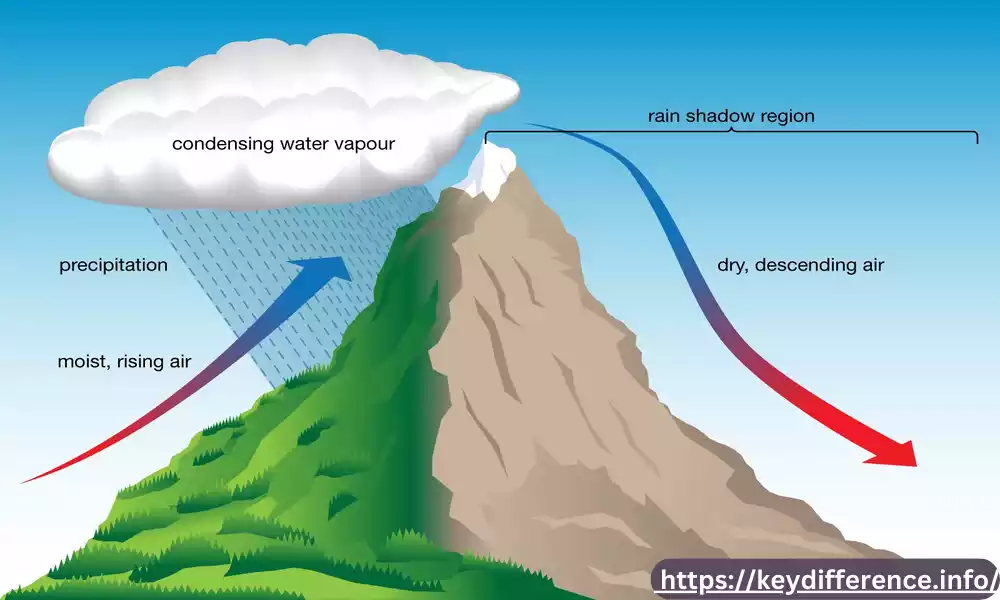 Precipitation