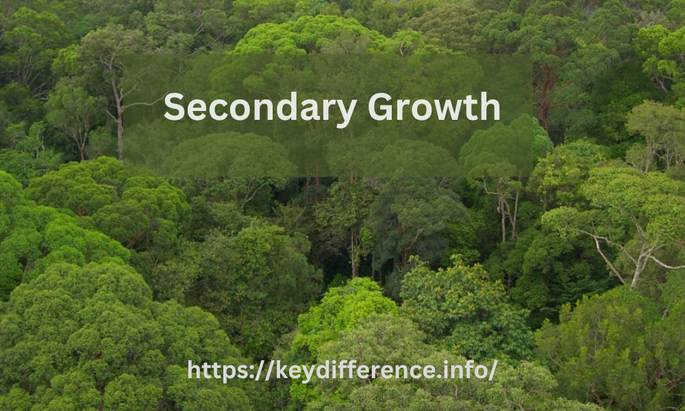  Secondary Growth